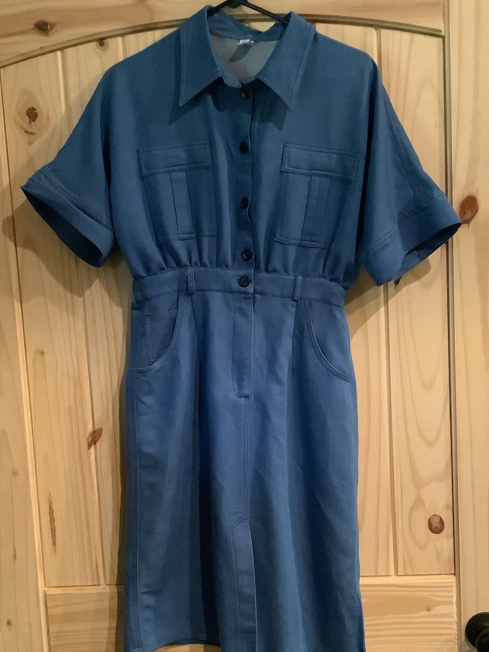 Blue Short-Sleeve Button Front Shirt Dress